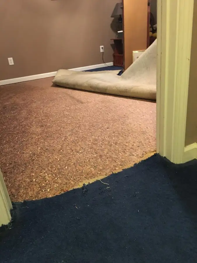 Carpet pad removal revealing water damage during Water Mitigation Services in Tomah